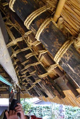 茅葺の家屋の軒下