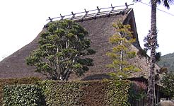 国指定重要文化財…渡邉家