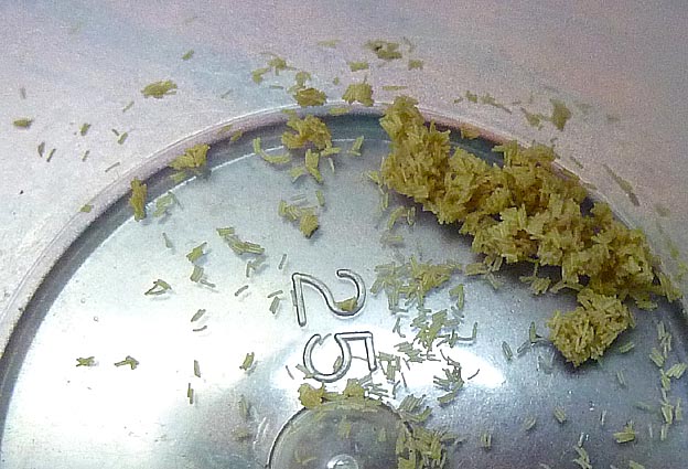 産卵されたハグロケバエの卵