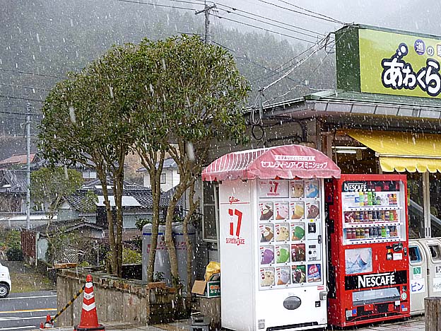 3月のあわくらんど