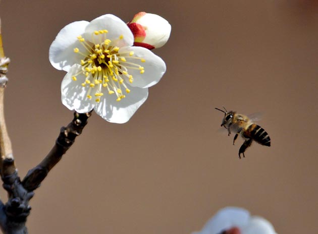 クリックしてください