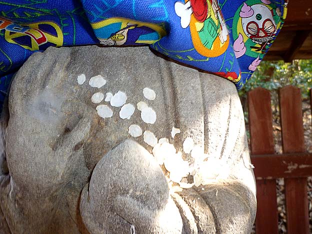 ニホンヤモリの卵のあと