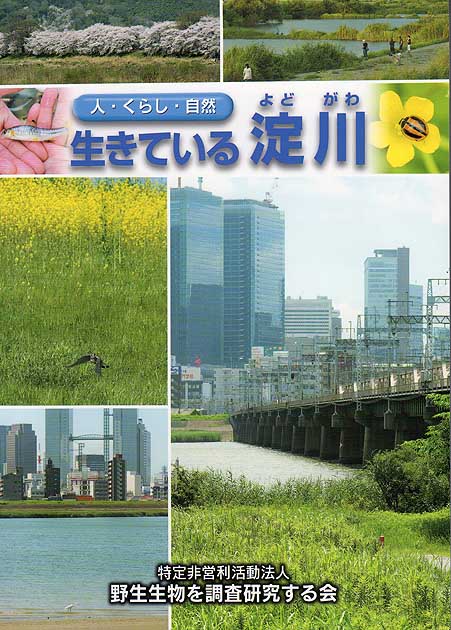 生きている淀川(よどがわ)