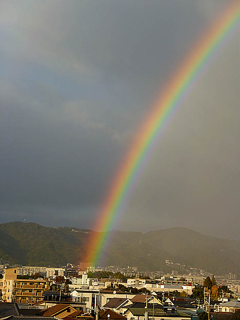 色鮮やかな虹の写真