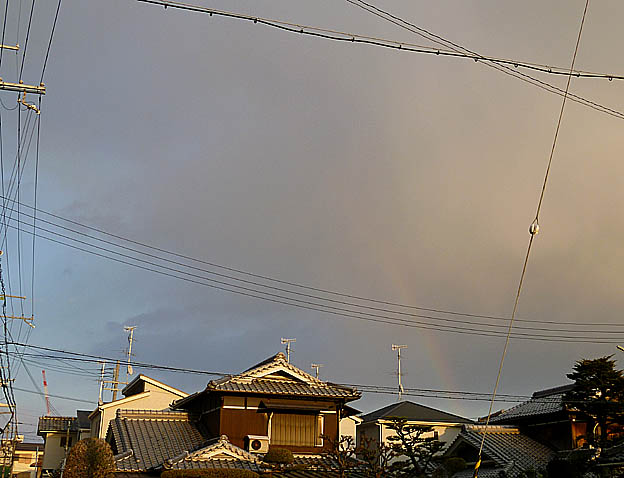 うっすらと見えた虹